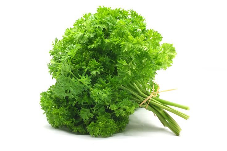 Parsley Curly Leaves 